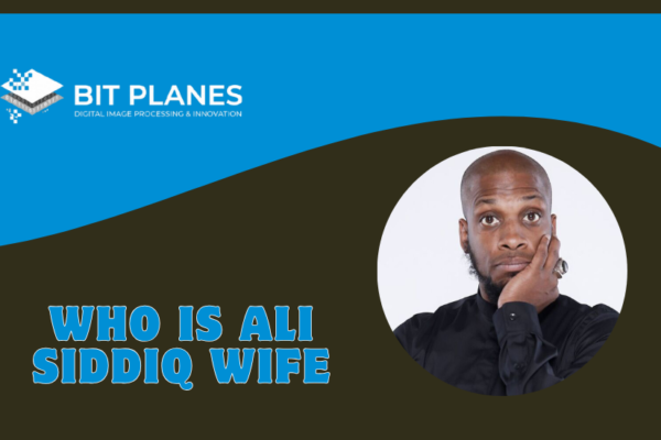 Who Is Ali Siddiq Wife